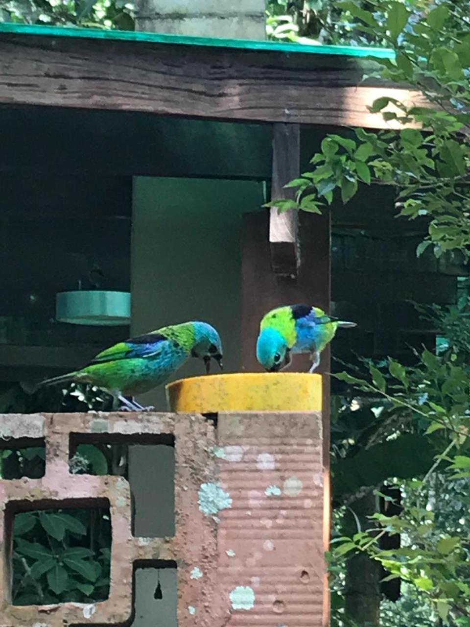 Itamambuca Casas,Suites Ubatuba Kültér fotó